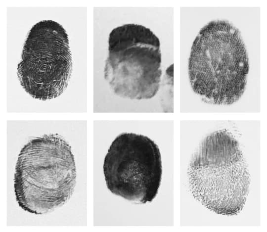 Good fingerprint example